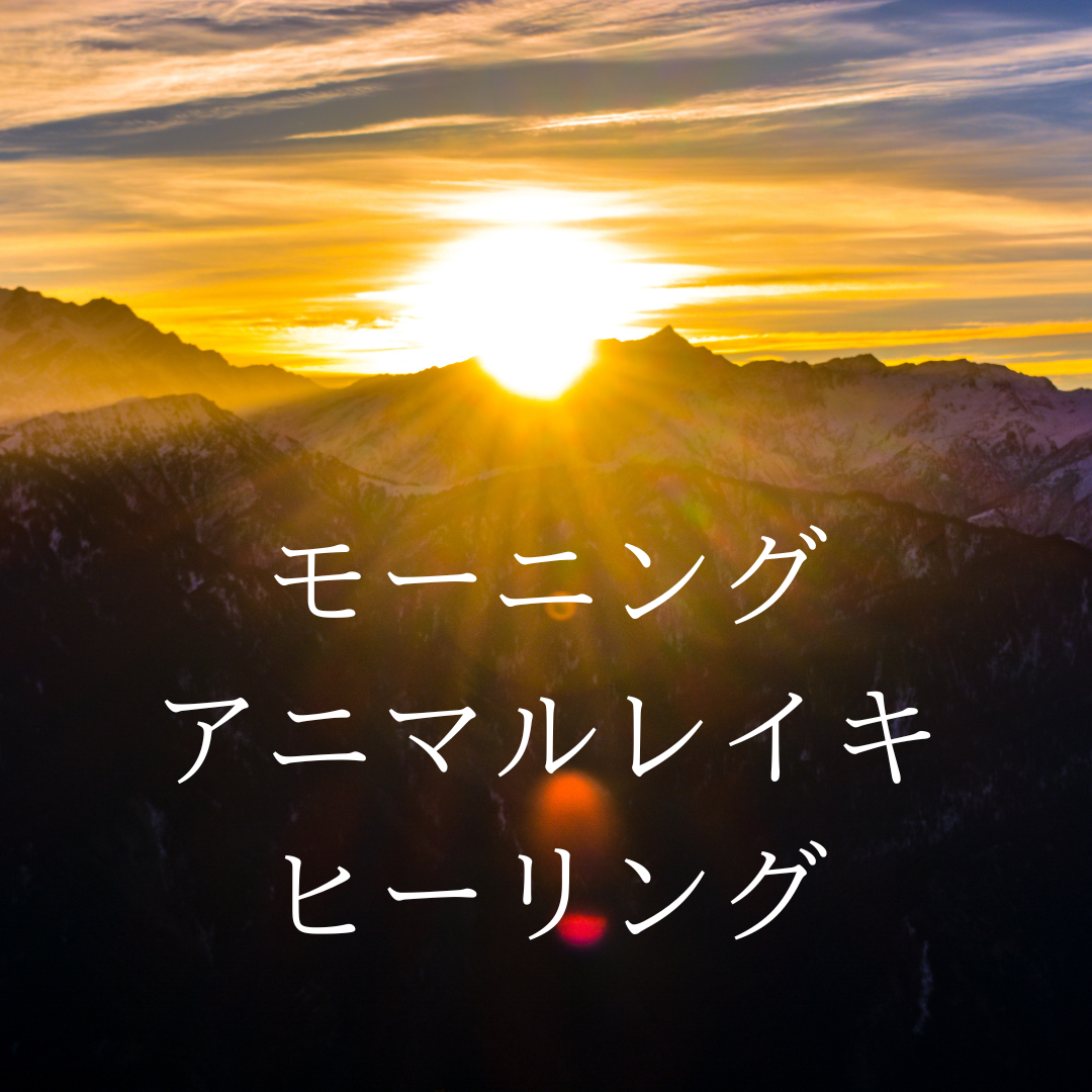 スピリチュアル千の光 Jp スピリチュアル千の光 Jp